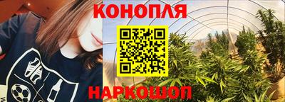 spice Мариинск