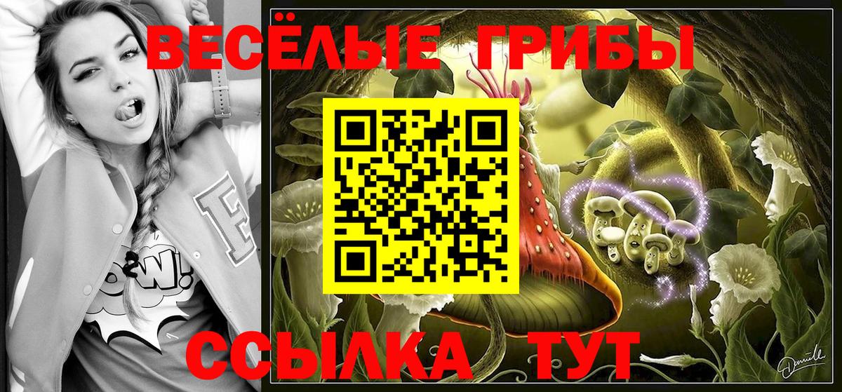 Воронеж  Галлюциногенные грибы Magic Shrooms  Вход с VPN 
